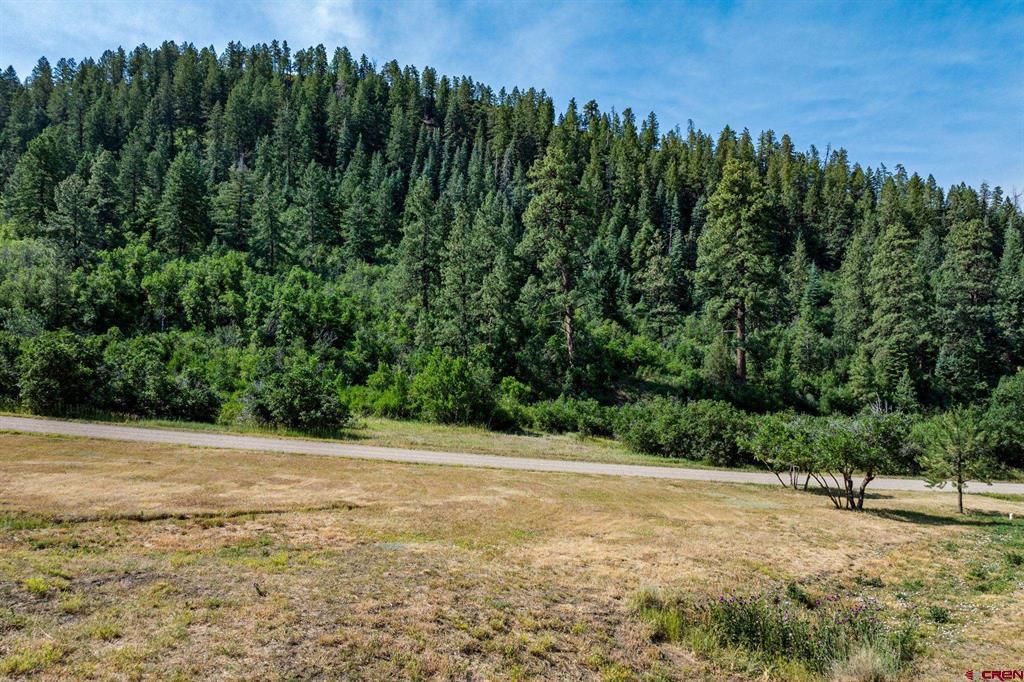 554 Pine Spring Drive