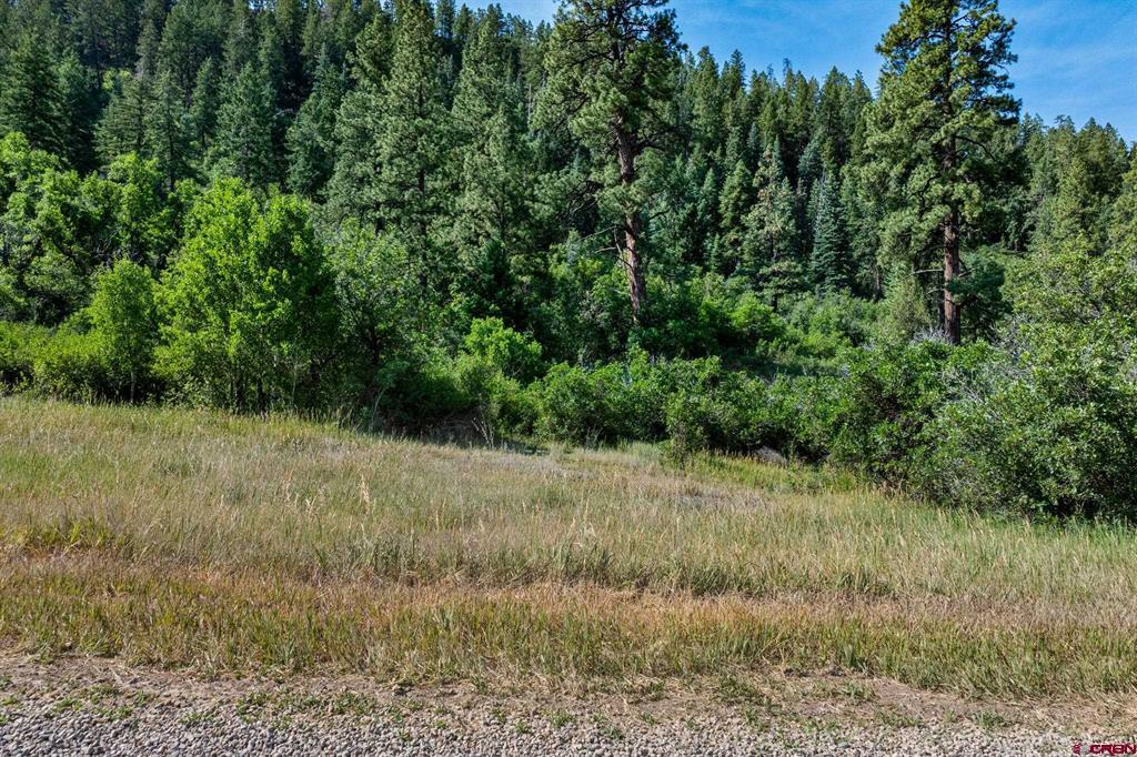 554 Pine Spring Drive