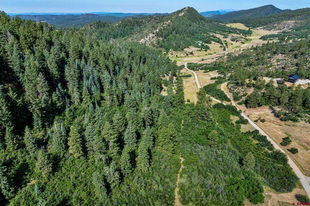 554 Pine Spring Drive