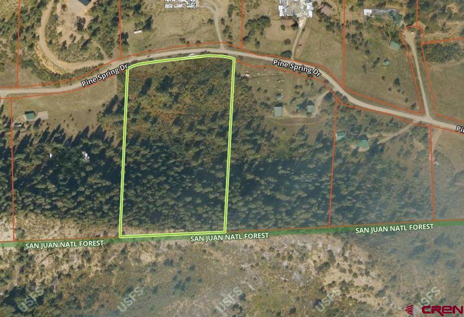 554 Pine Spring Drive