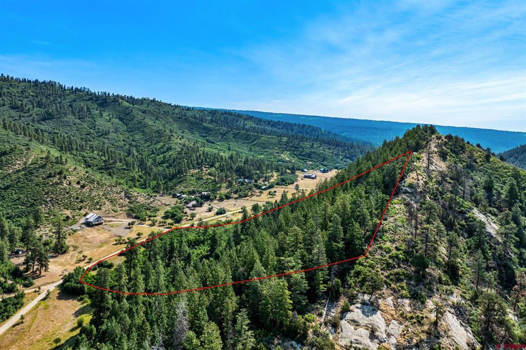 554 Pine Spring Drive