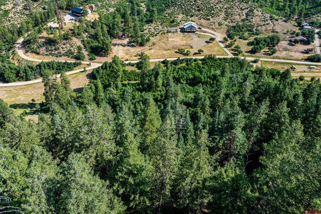554 Pine Spring Drive