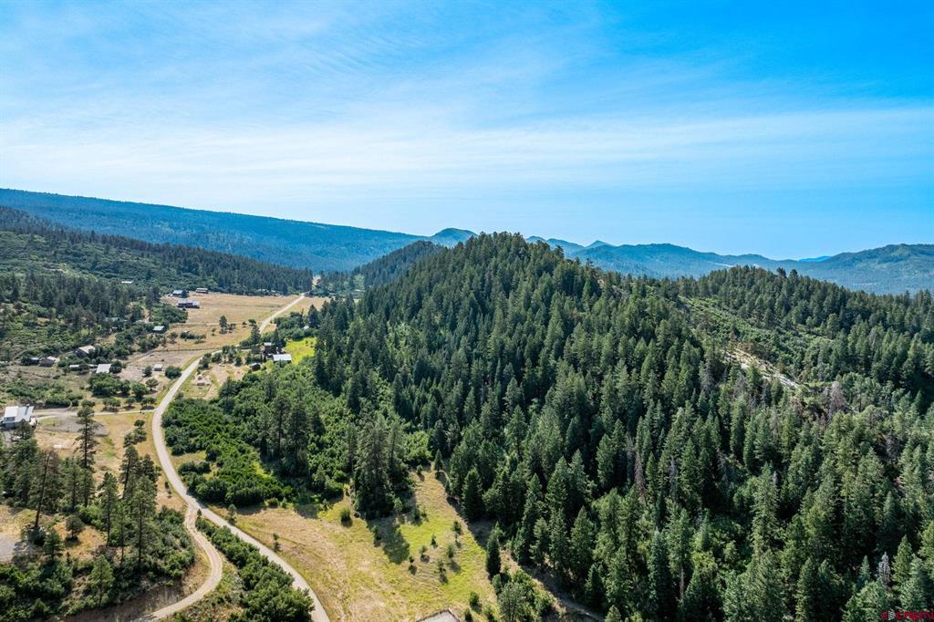 554 Pine Spring Drive