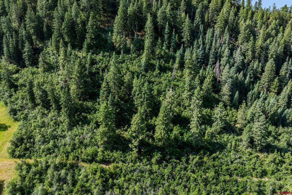 554 Pine Spring Drive