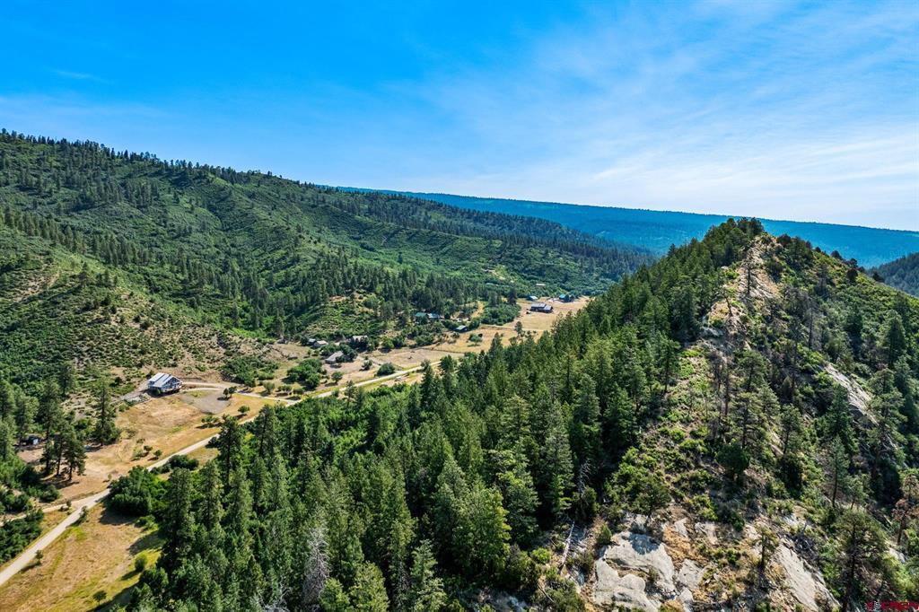 554 Pine Spring Drive