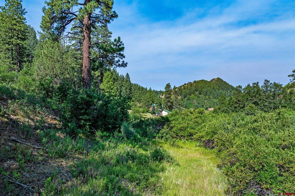 554 Pine Spring Drive