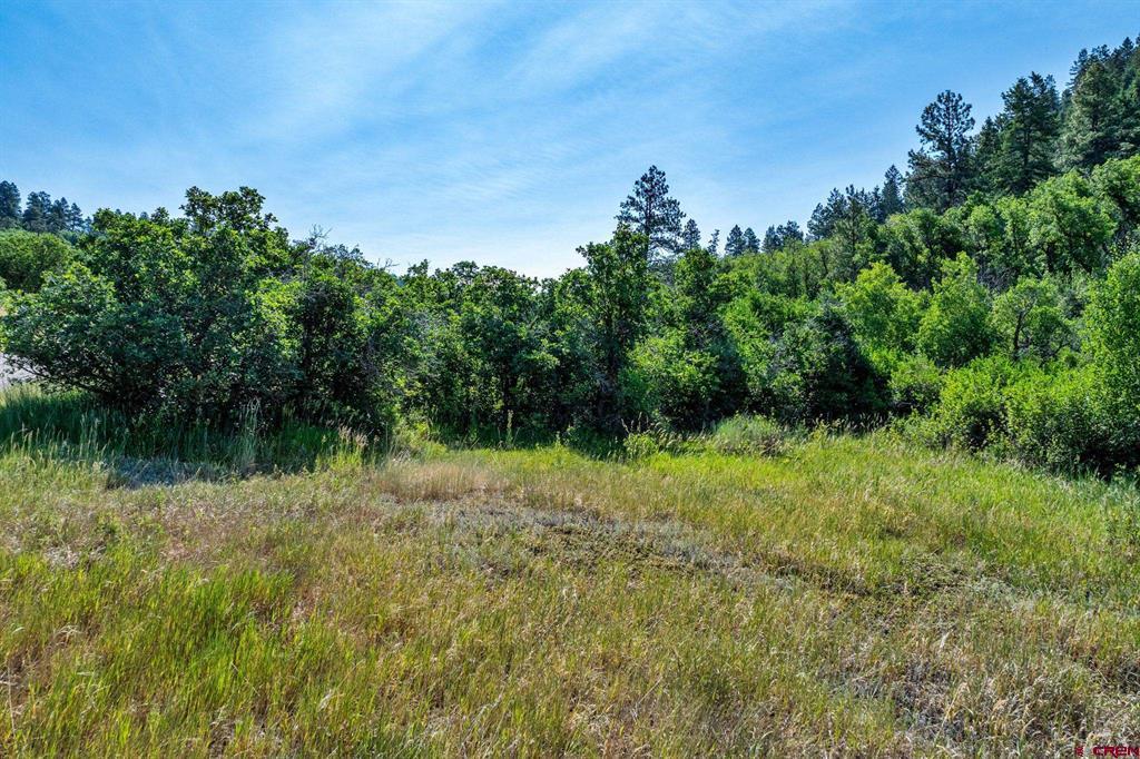 554 Pine Spring Drive