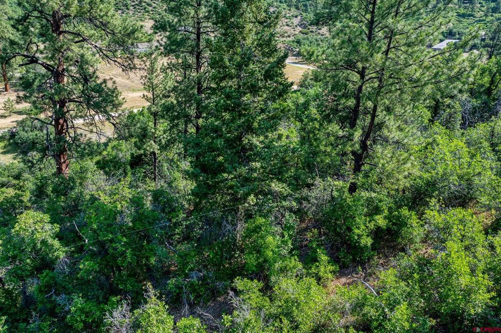 554 Pine Spring Drive