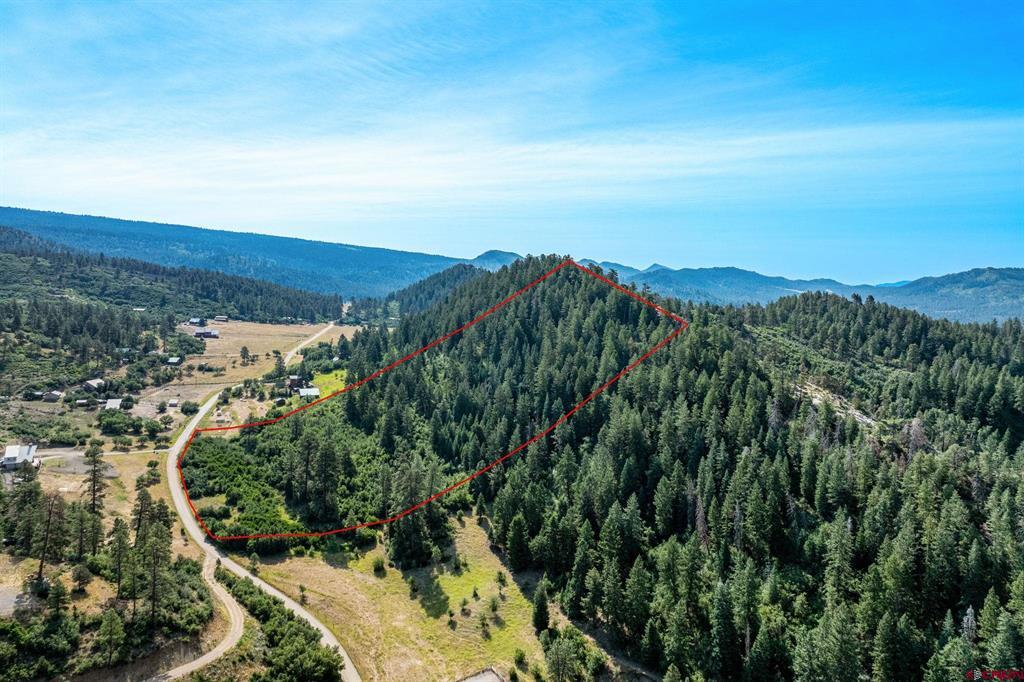 554 Pine Spring Drive