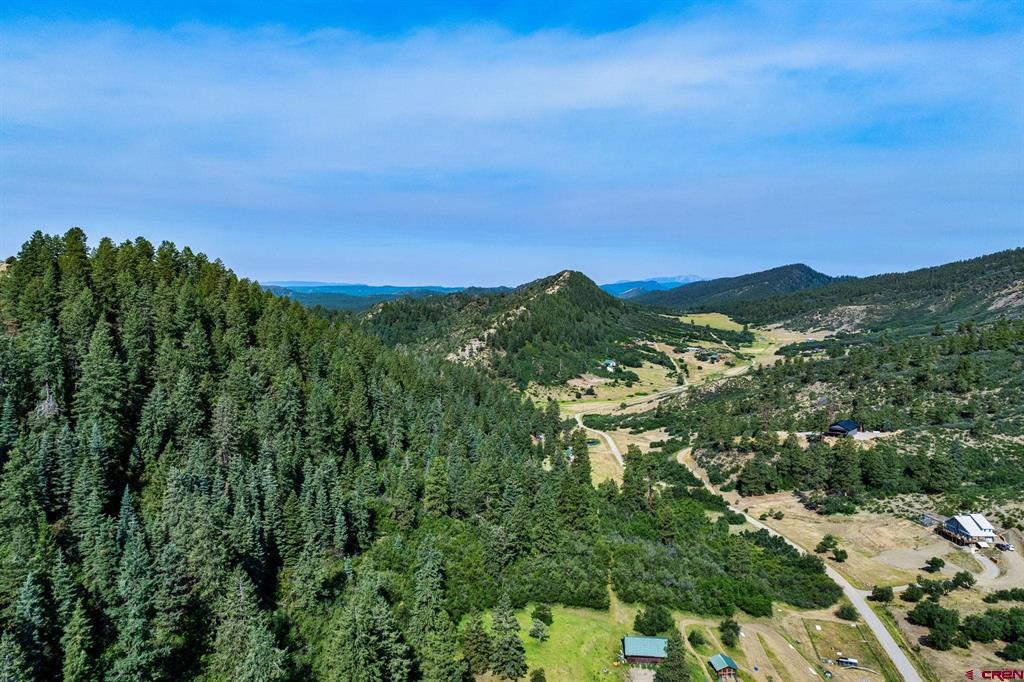 554 Pine Spring Drive