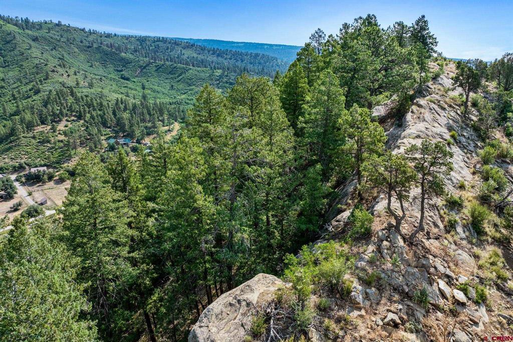 554 Pine Spring Drive