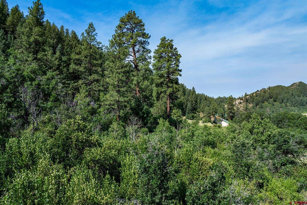 554 Pine Spring Drive