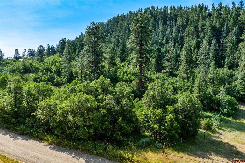 554 Pine Spring Drive