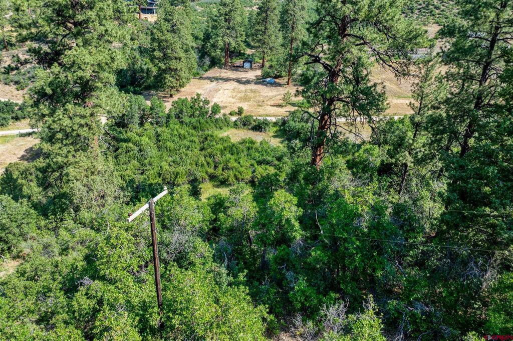 554 Pine Spring Drive