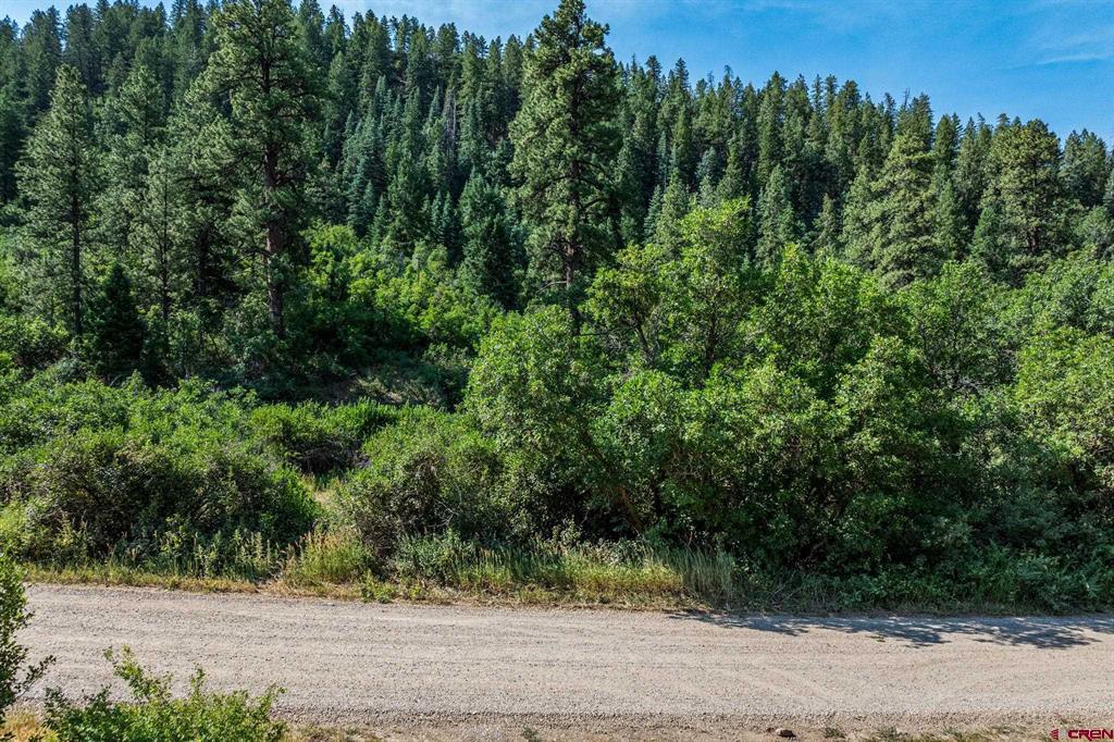 554 Pine Spring Drive