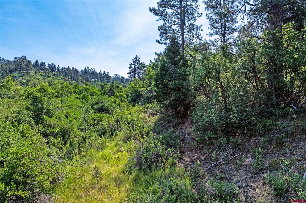 554 Pine Spring Drive