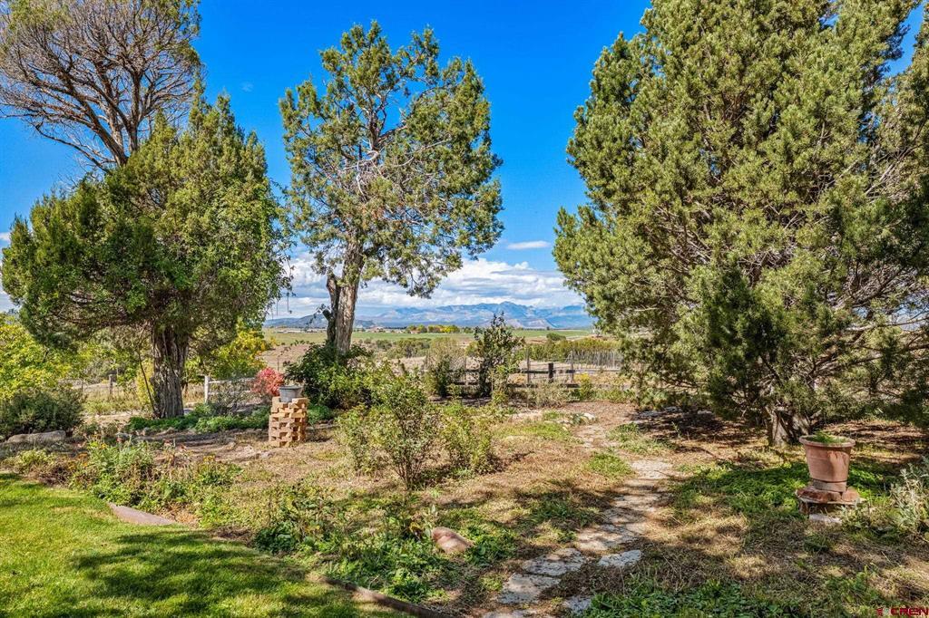 1041 County Road 307