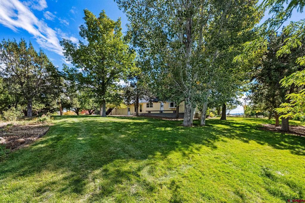 1041 County Road 307