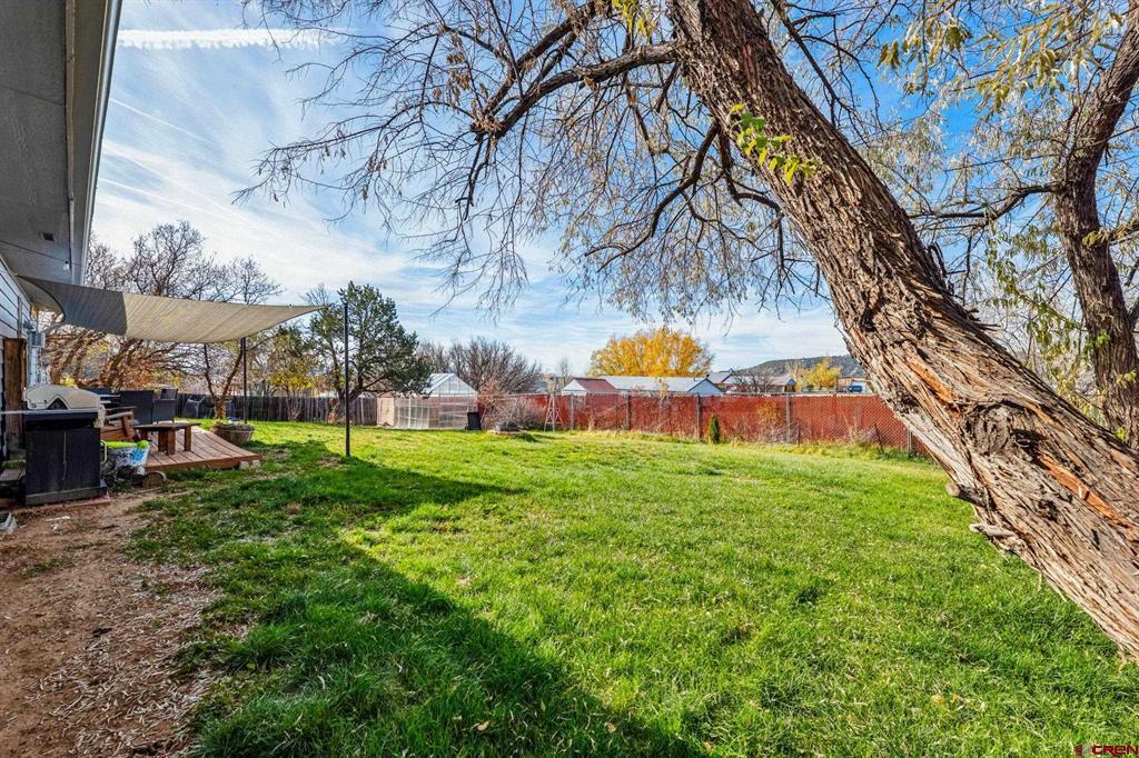 1401 Cactus Drive