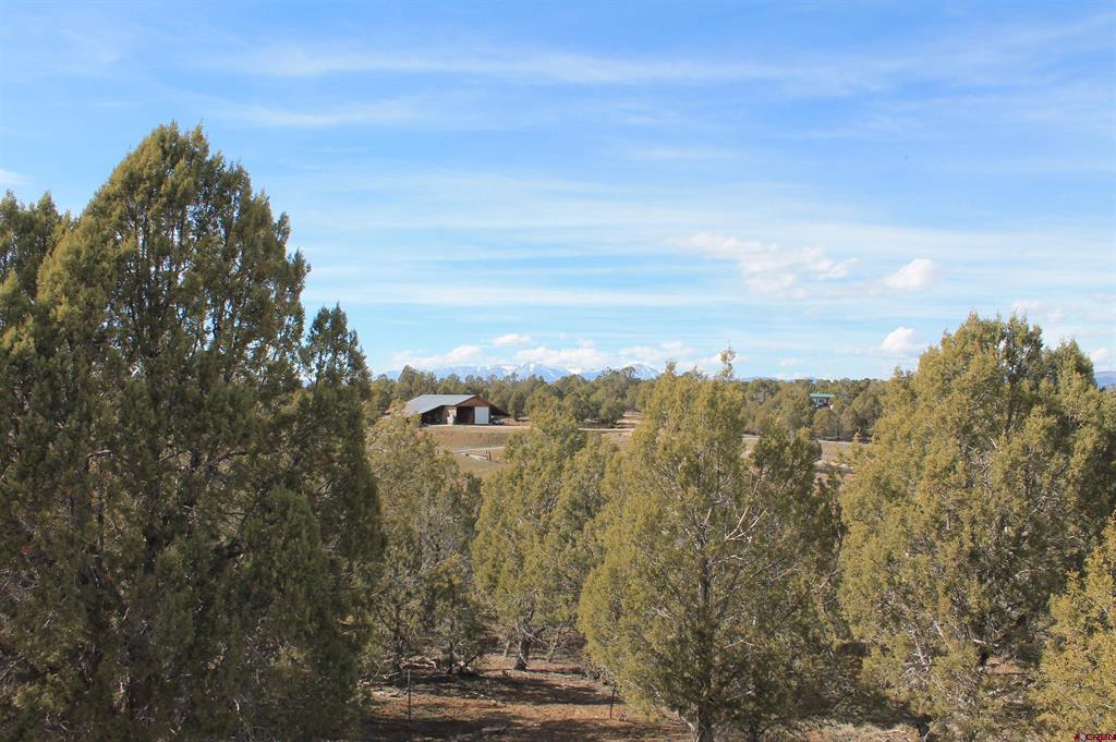 2944 County Road 510