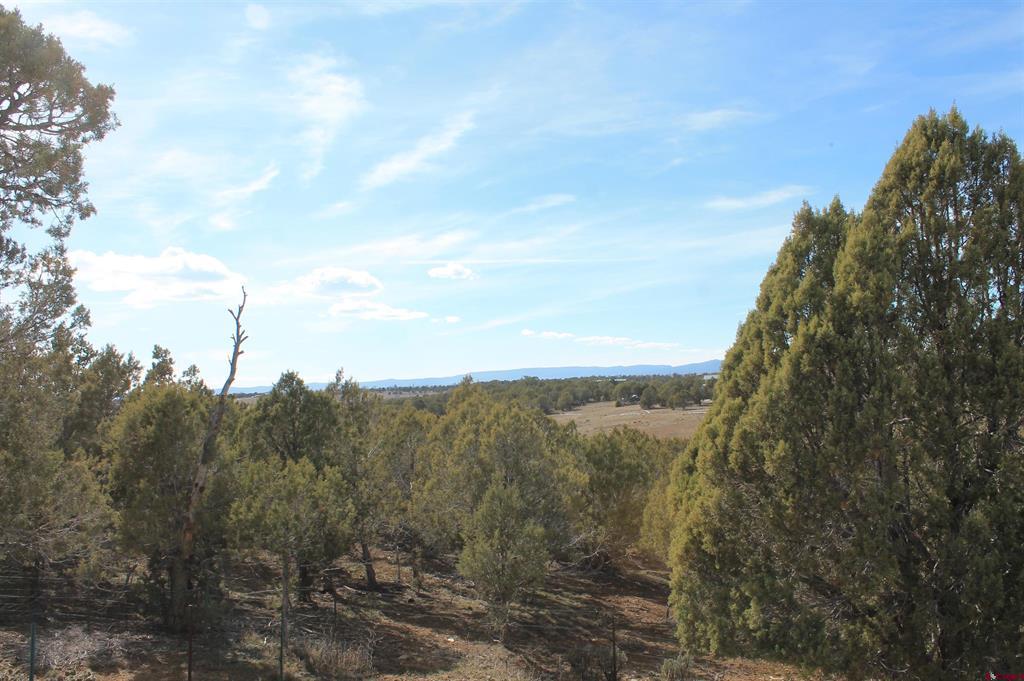 2944 County Road 510