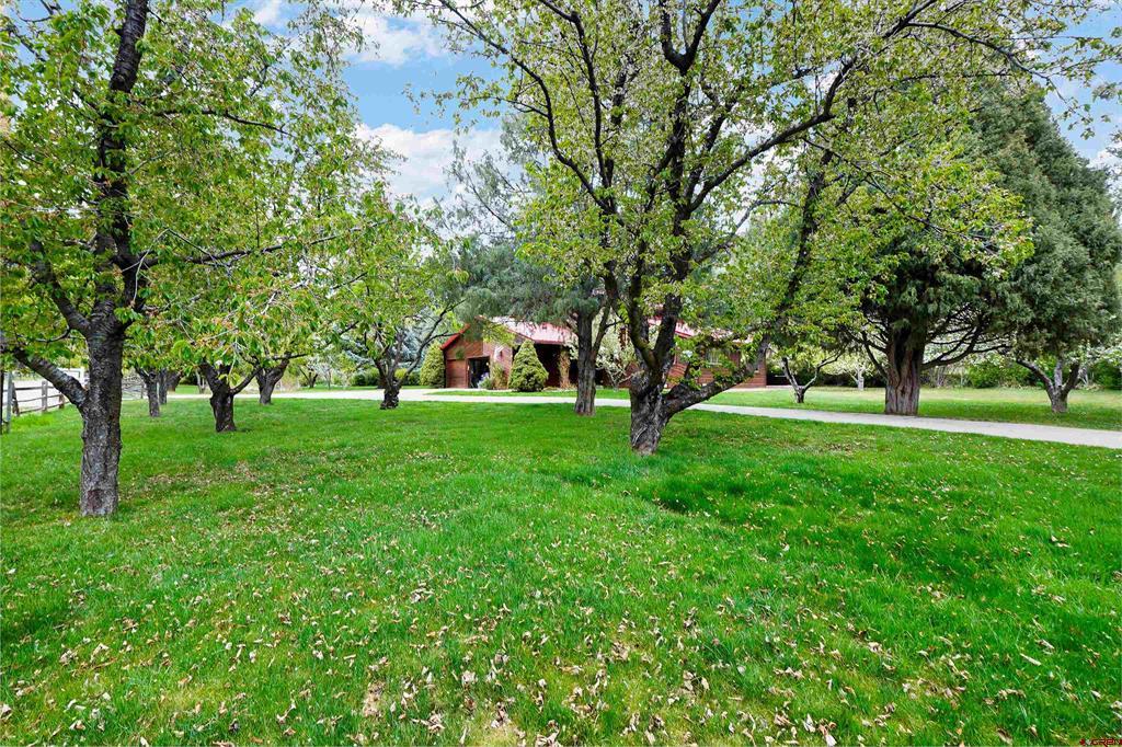 163 County Road 202