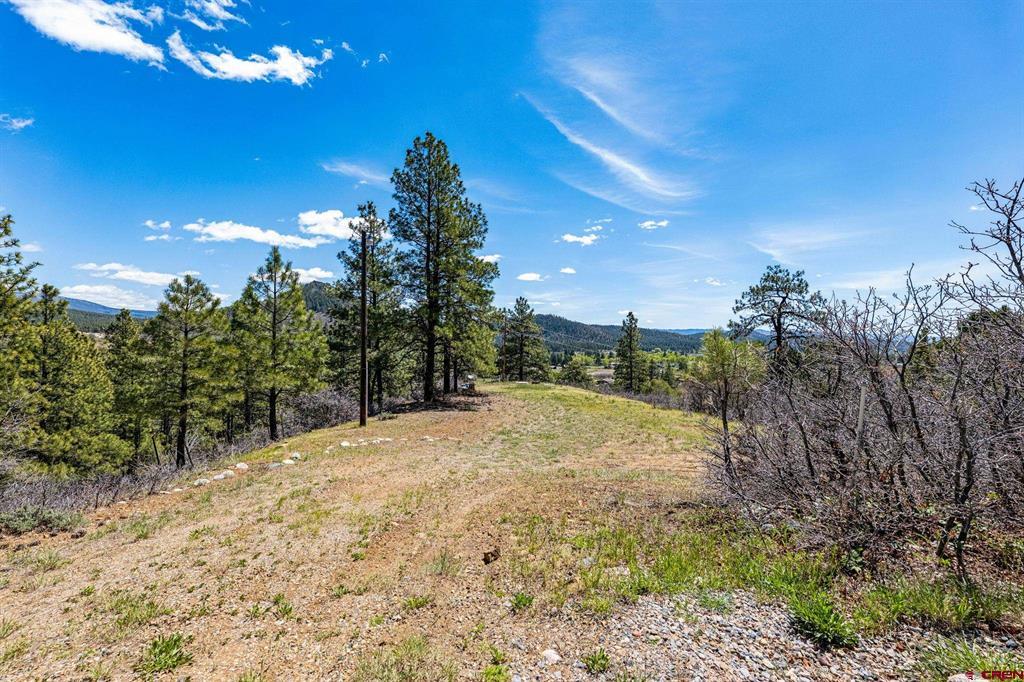 1188 Ludwig Drive