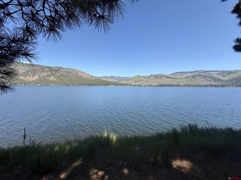 17463 County Road 501