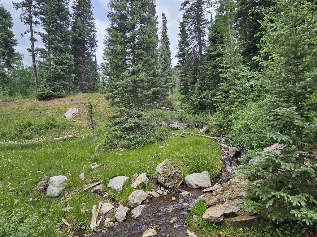 4566 Middle Mountain Road