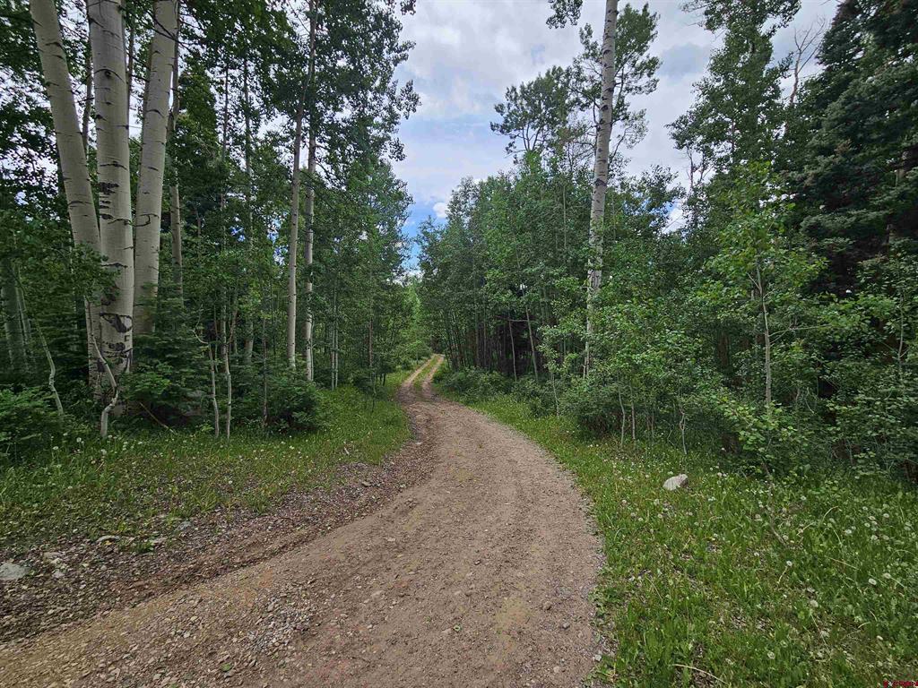 4566 Middle Mountain Road