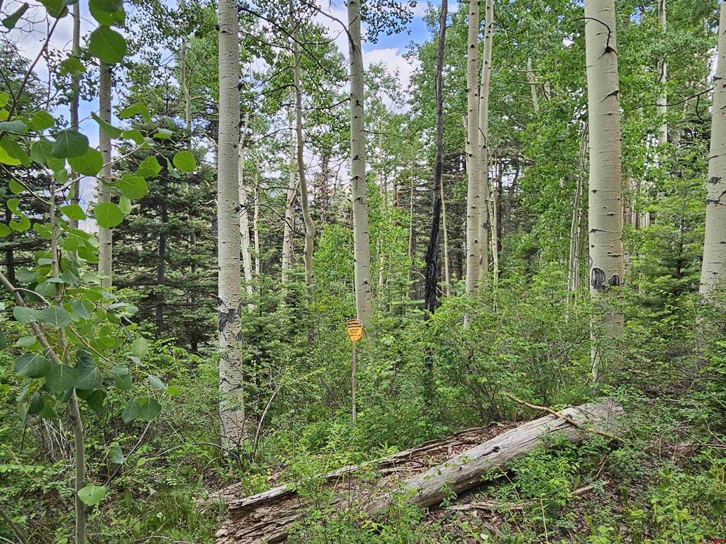 4566 Middle Mountain Road