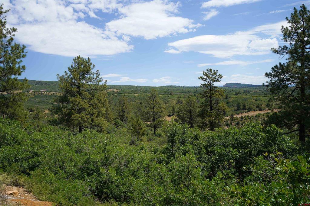 224 W Durango Ridge