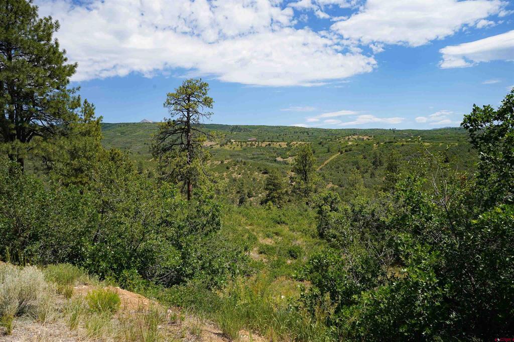224 W Durango Ridge