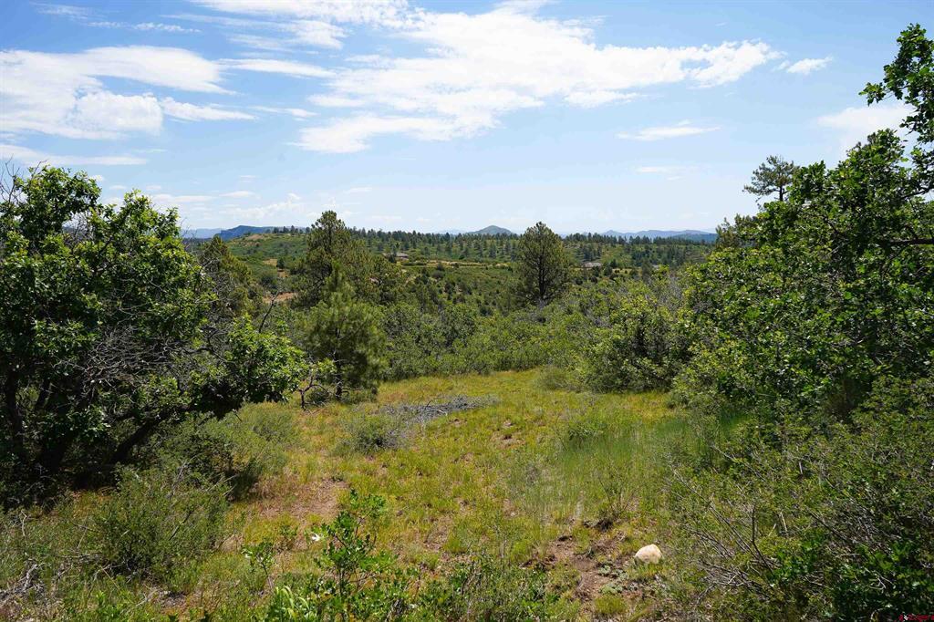 224 W Durango Ridge