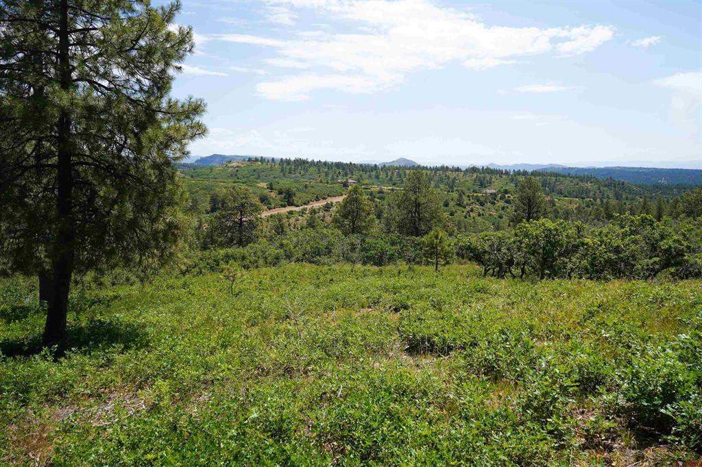 224 W Durango Ridge