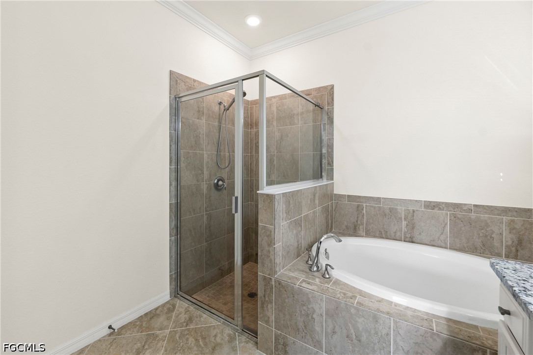 17573 Canopy CT