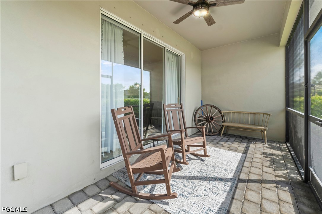 17573 Canopy CT