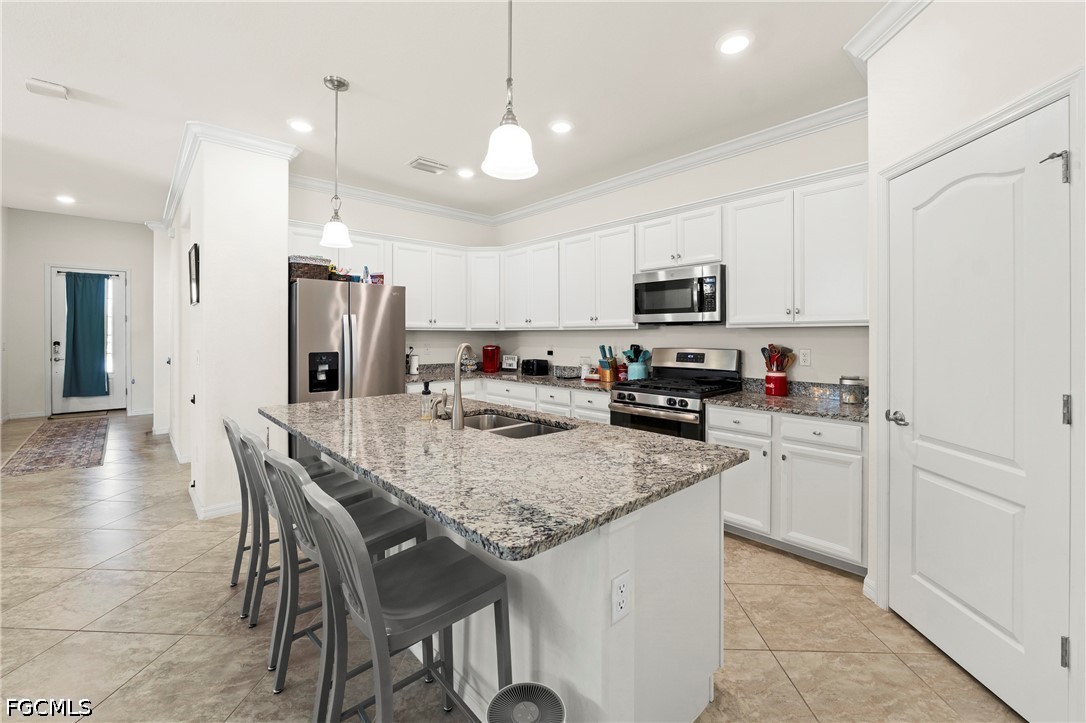 17573 Canopy CT