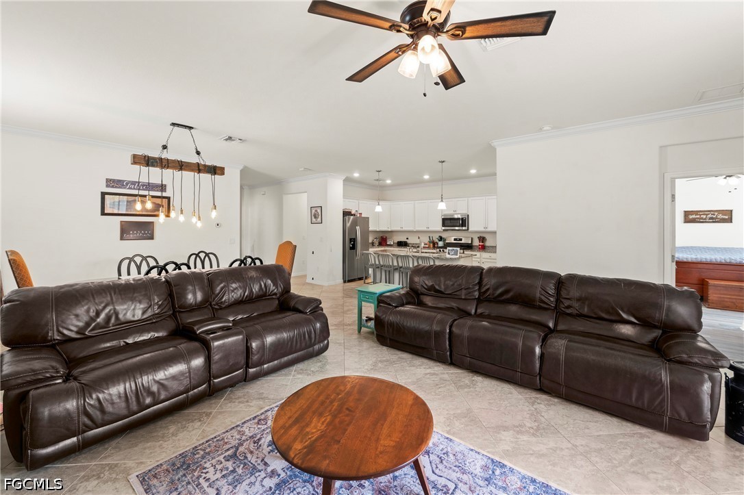 17573 Canopy CT