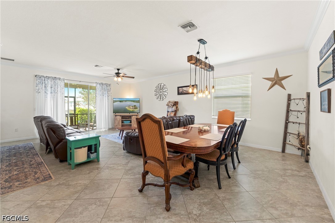 17573 Canopy CT