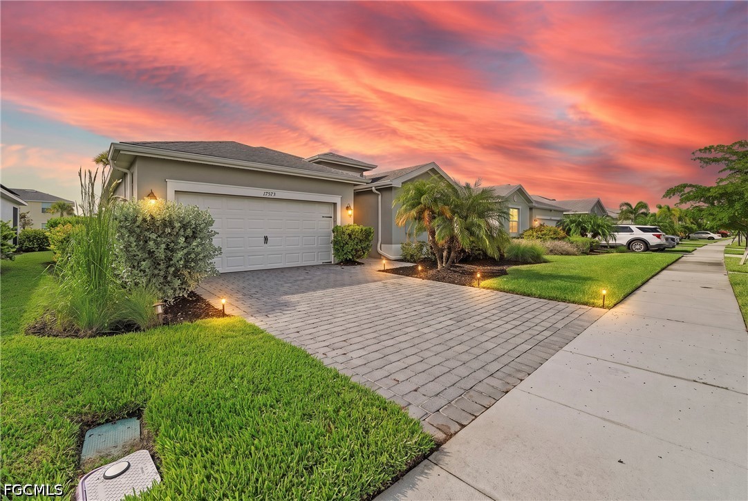 17573 Canopy CT