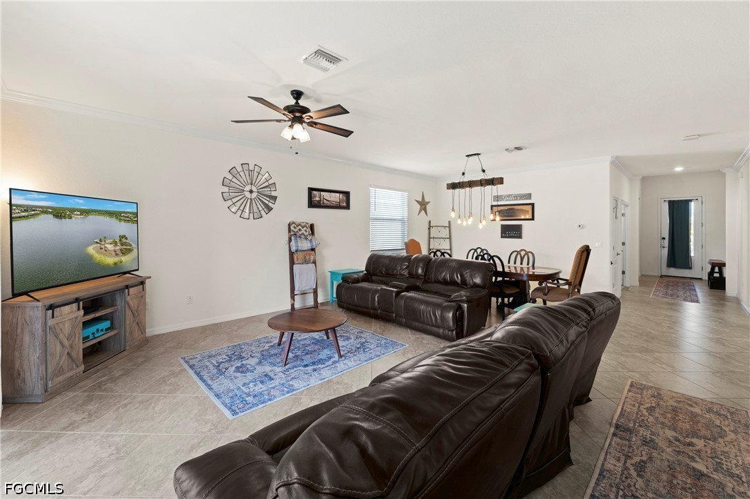 17573 Canopy CT