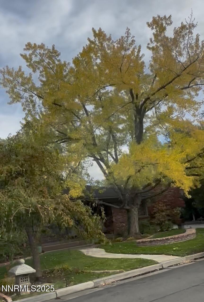 611 & 611A Nixon Avenue, 611A Nixon Ave is for the cottage in rear