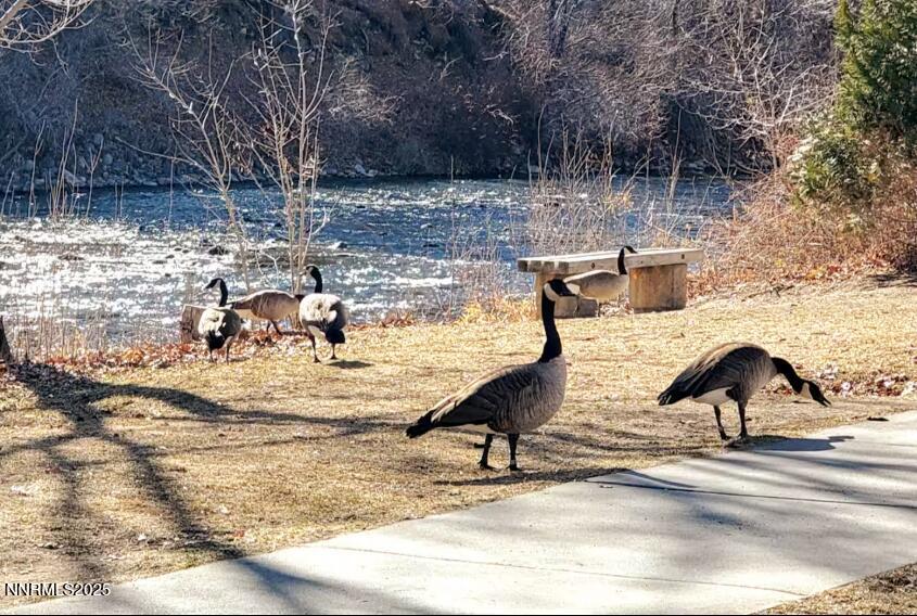 611 & 611A Nixon Avenue, 611 & 611A