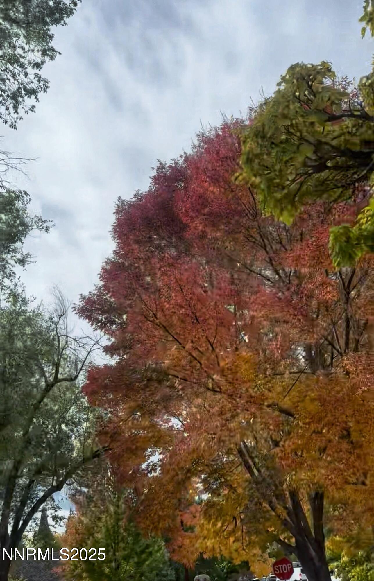 611 & 611A Nixon Avenue, 611 & 611A