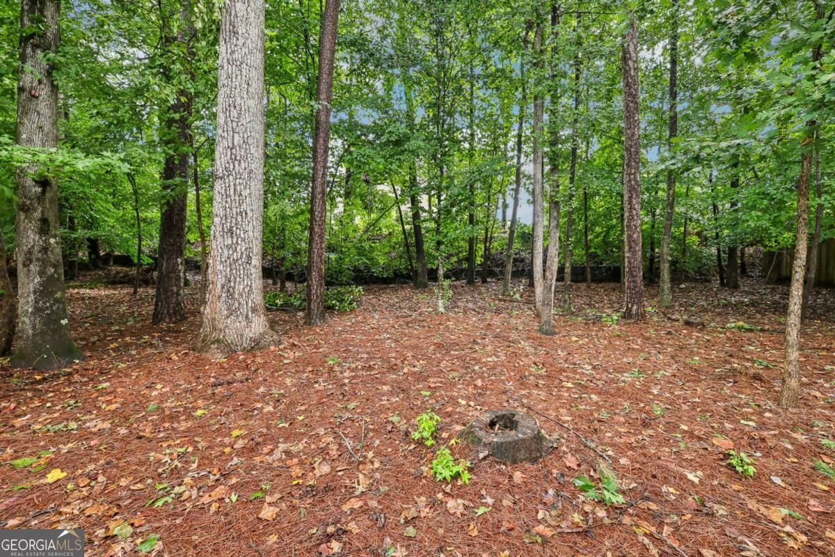 Wooded property lot with mature trees and a leaf-covered clearing.