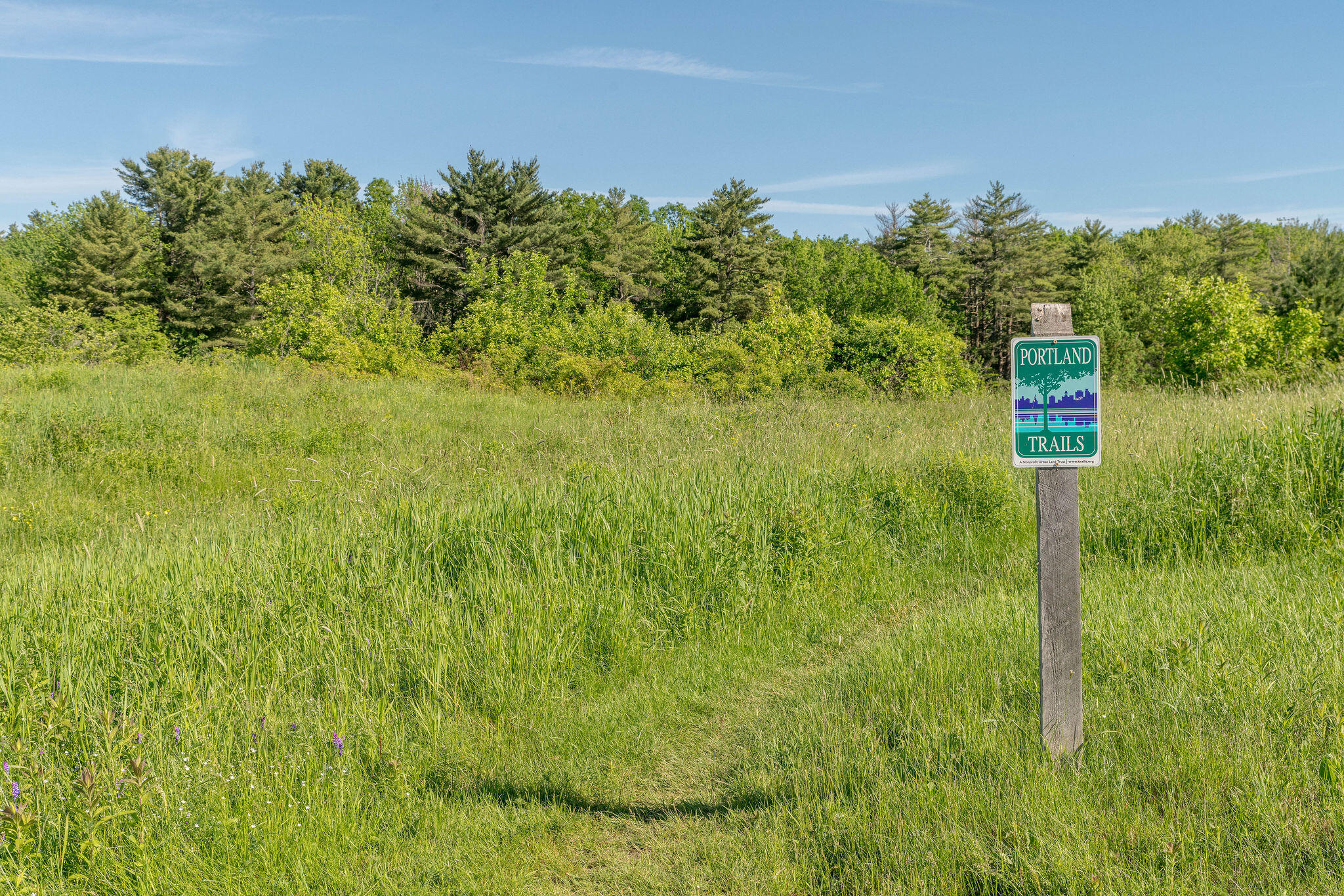 163 Owl's Nest Road