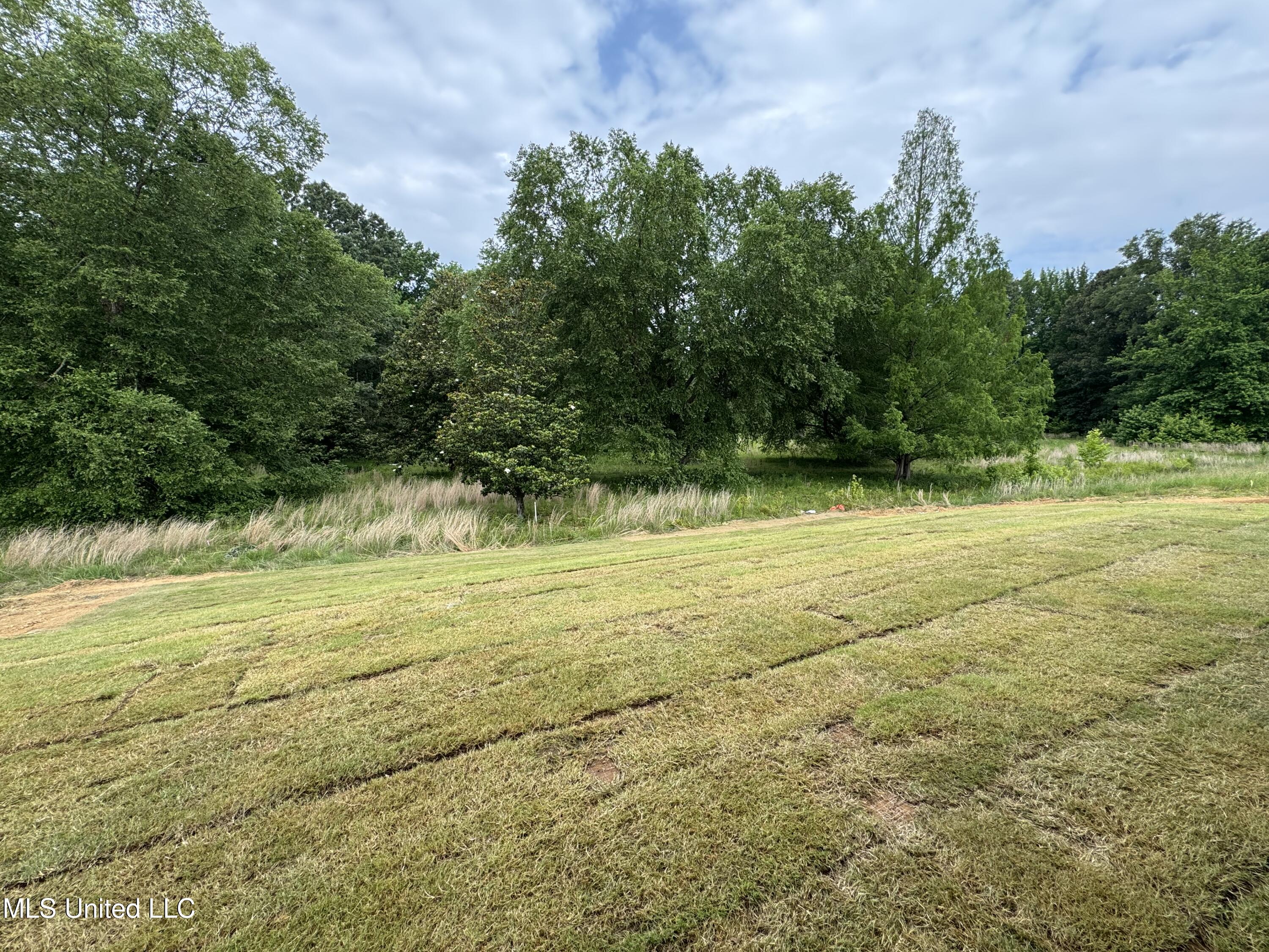 4275 W Olivia Circle