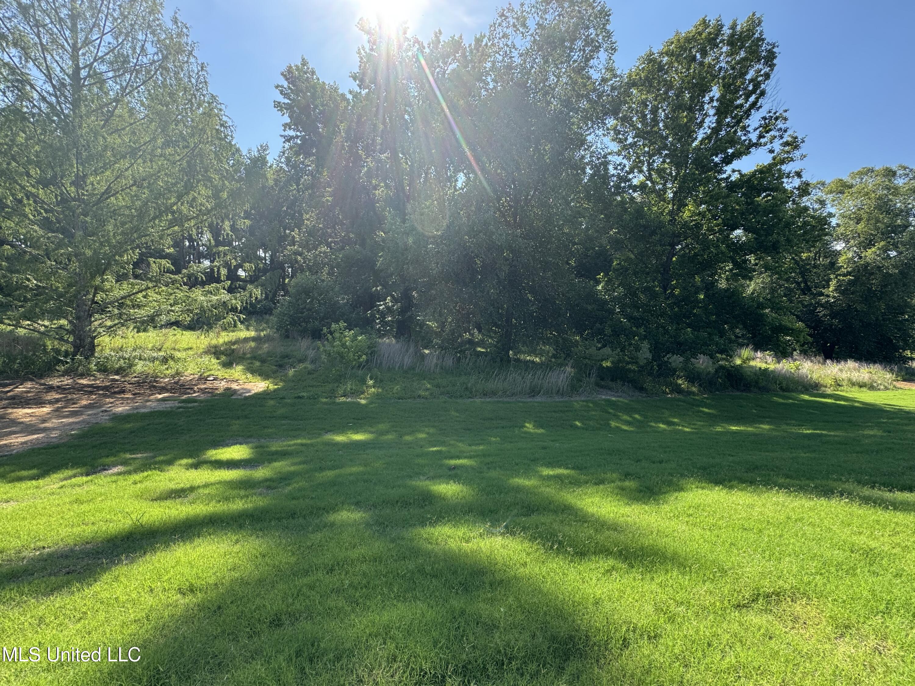 4243 W Olivia Circle