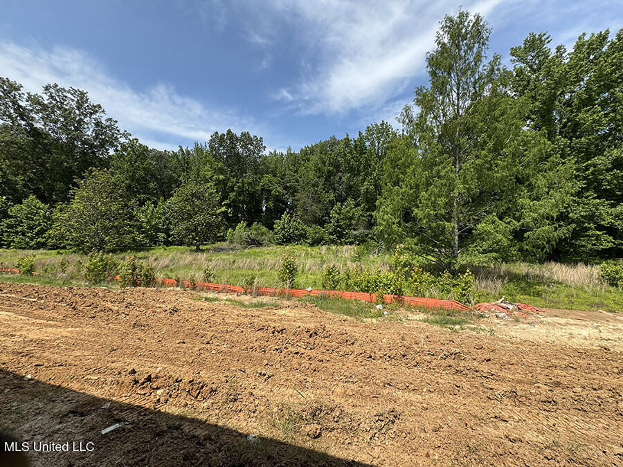 4229 W Olivia Circle